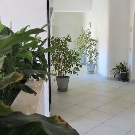 Excelsior 皮昂比诺